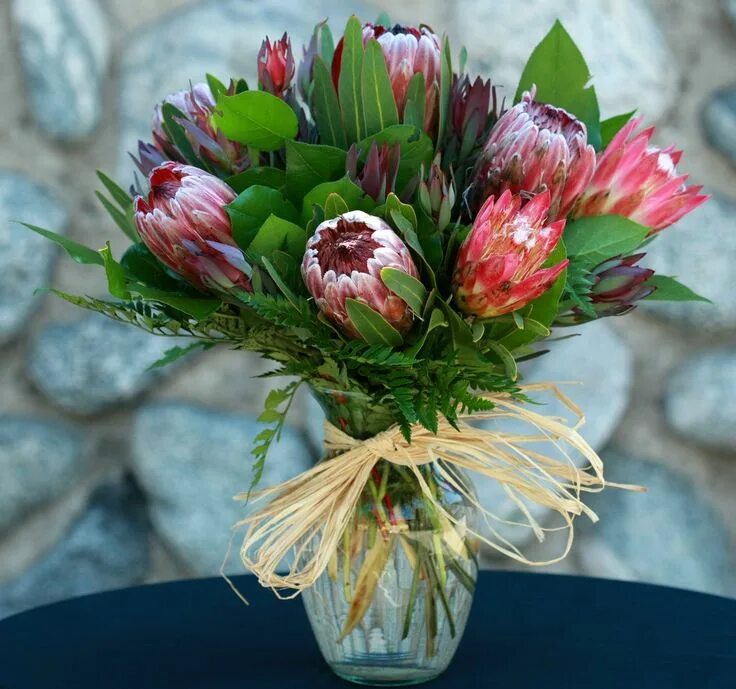 Протея цветок фото букет protea bouquet - Google Search Flower arrangements delivery, Flower delivery, Pr