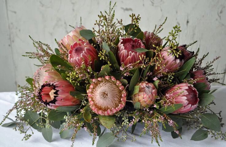 Протея цветок фото букет Fall Protea centerpiece Large flower arrangements, Flower vase arrangements, Aus