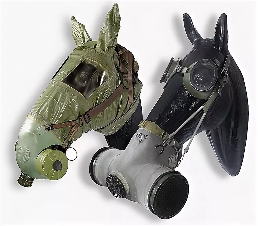 Противогаз для лошади фото A Pair of Rare Horse Gas Masks Gas mask, Rare horses, World war one