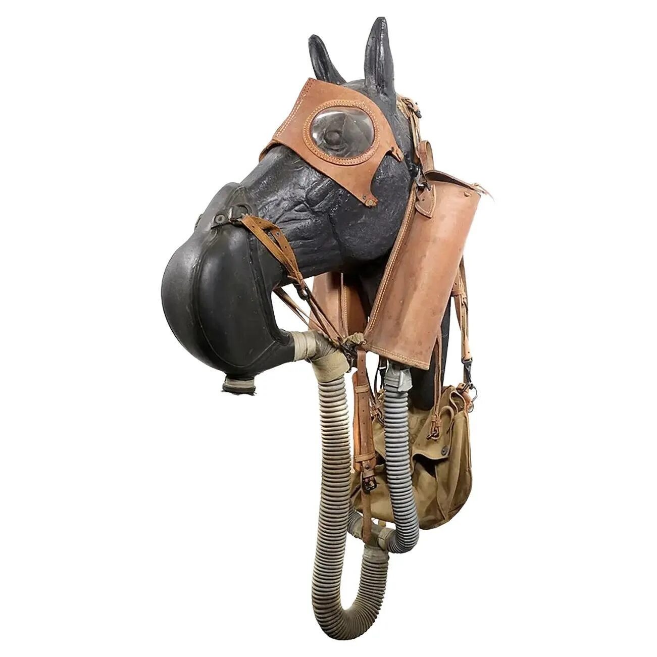 Противогаз для лошади фото Vintage Gas Mask at 1stDibs