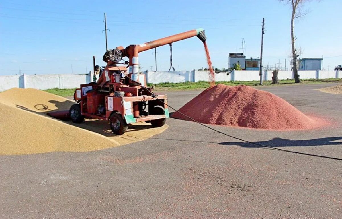 Протравливание семян фото ПЕРВЫЙ КОМПЛЕКСНЫЙ БИОПЕСТИЦИД ИЗУЧАЕТСЯ СЕЛЬХОЗКОНСУЛЬТАНТАМИ НА СТАВРОПОЛЬЕ