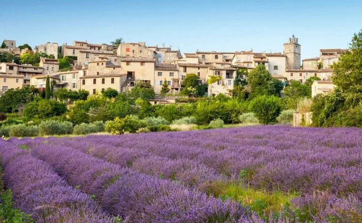 Прованс сухая ул 2 минск фото Provenza: Itinerario della Lavanda Campi di lavanda in francia, Francia provenza