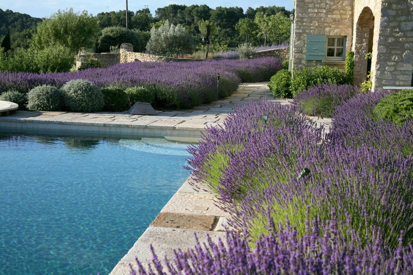 Прованс в ландшафтном дизайне Anthony Paul Landscape Design Garden design, Backyard garden design, Provence ga