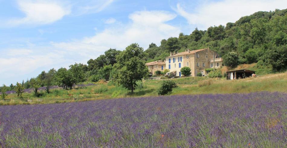 Прованс верхняя ул 13 фото Bed and Breakfast Domaine De Bertrandy, Allemagne-en-Provence, France - Booking.