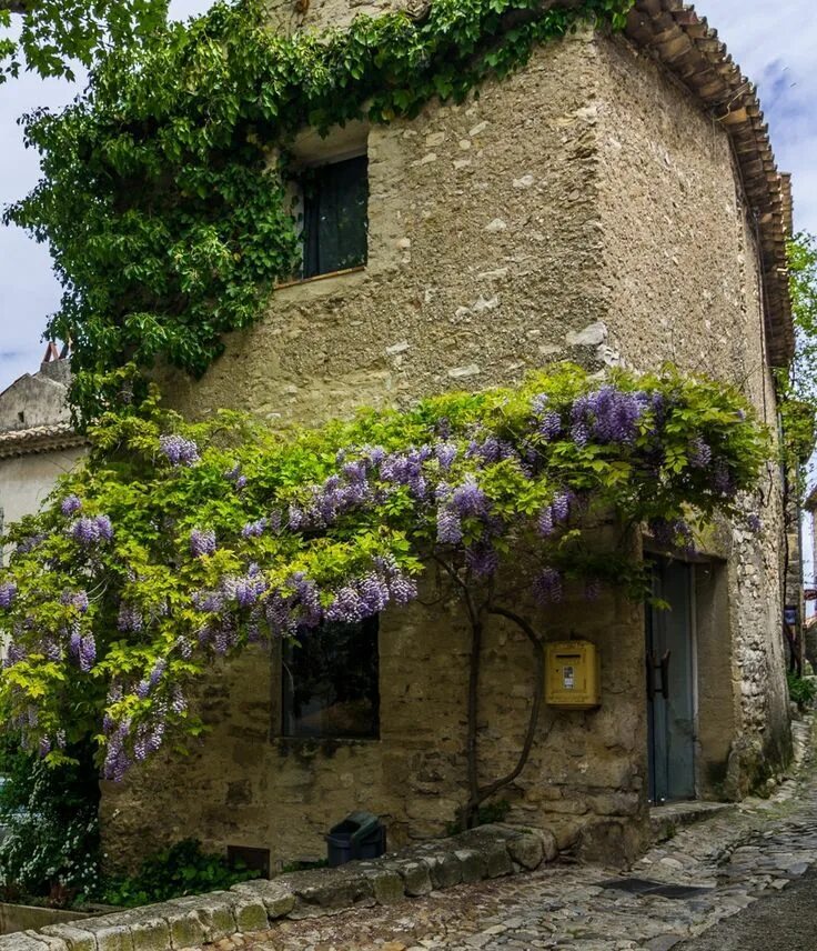 Прованс верхняя ул 13 фото My inner landscape in 2022 Provence france, Houses in france, Outdoor gardens