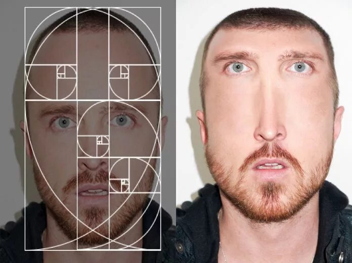 Проверить лицо по фото Fibonacci Sequence Makes "Perfect" Celebrity Portraits Golden ratio, Fibonacci, 