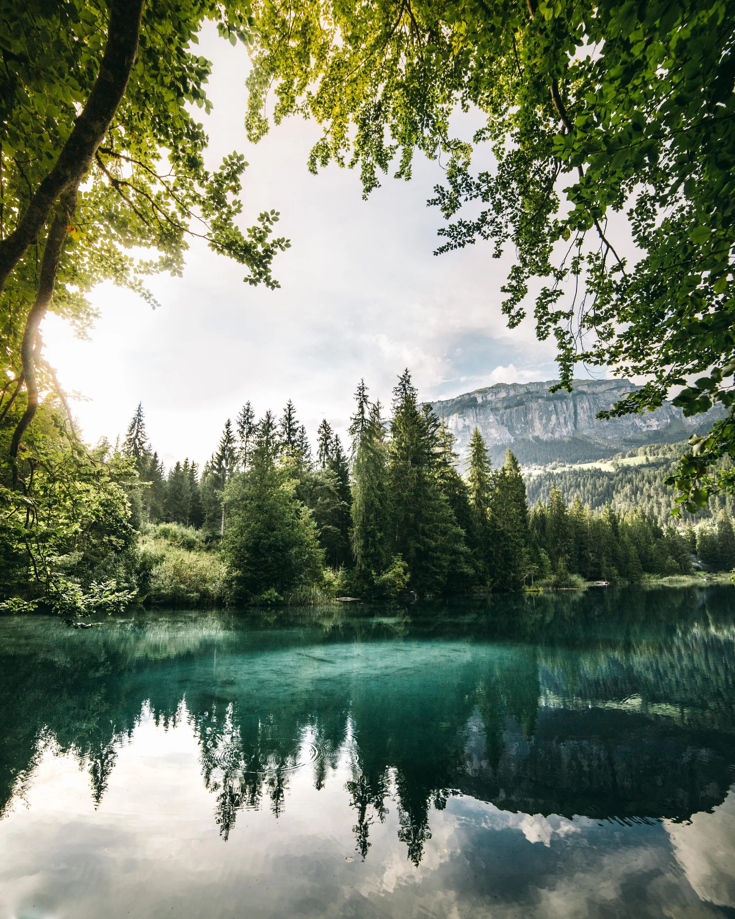 Прозрачные фото природы A late afternoon at the lake in Flims Switzerland (OC) (3840 4800) Beautiful lan