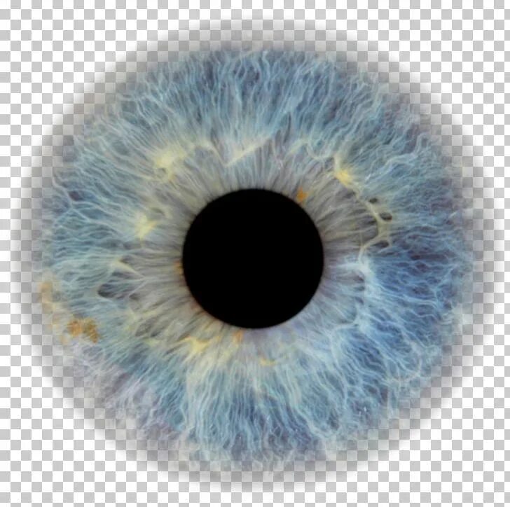 Прозрачные глаза фото Transparent Eyeball Pupil Eye Color Human Eye PNG - blue, circle, closeup, color