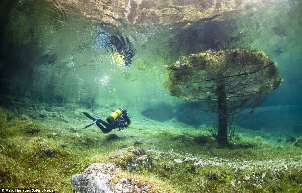 Прозрачные озера фото The park that disappears under water every year when snow melts from surrounding