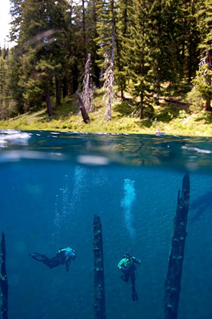 Прозрачные озера фото Diving in a clear Oregon lake by frenchy912 Oregon lakes, Clear lake oregon, Ore