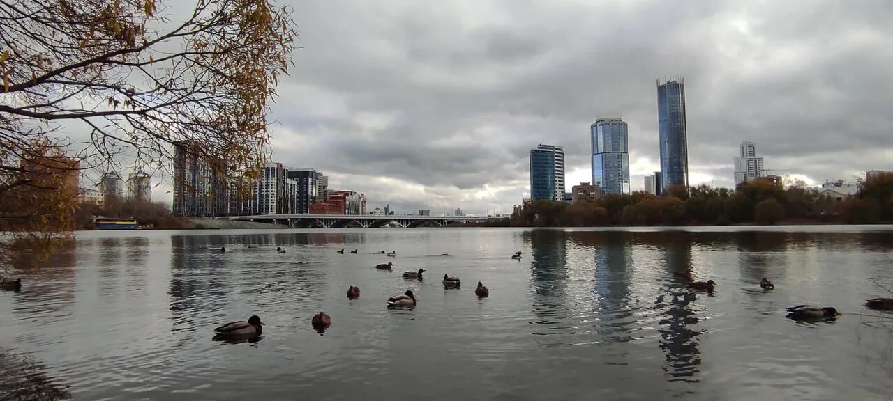 Пруд екатеринбург фото На городском пруду Екатеринбург Сити