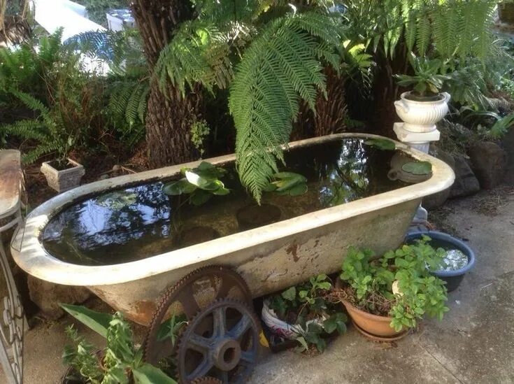 Пруд из ванны на даче своими руками Pin on Gardening Ponds backyard, Garden bathtub, Backyard water feature