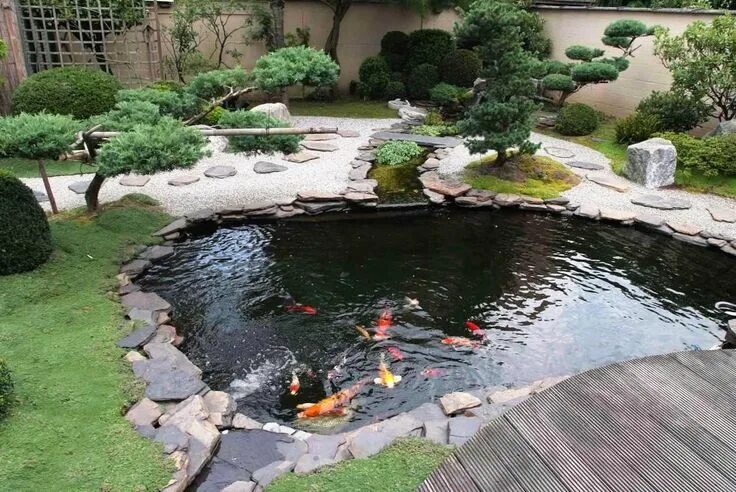 Пруд на участке дизайн фото 15 Awe-Inspiring Garden Ponds That You Can Make By Yourself Fish pond gardens, G