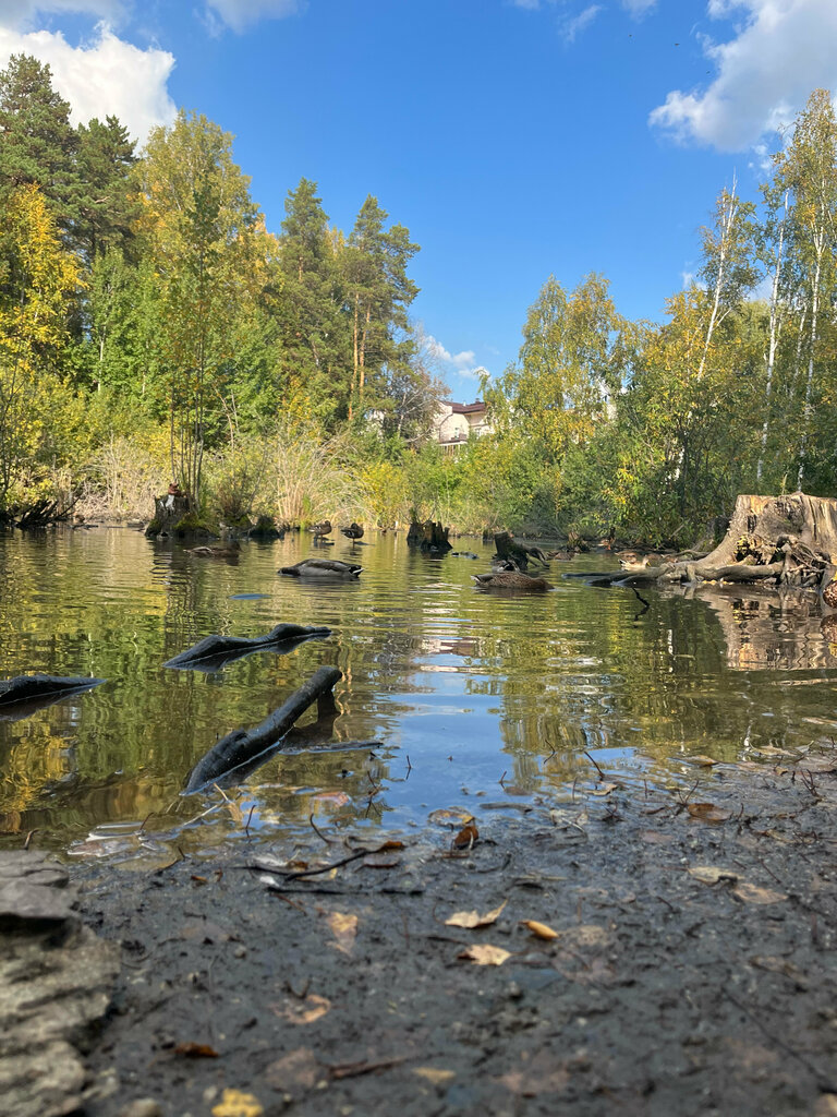 Пруд с утками новосибирск золотодолинская улица фото Панорама: Пруд с утками, смотровая площадка, Новосибирск, Золотодолинская улица 