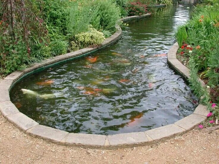 Пруд своими руками на даче для рыбы Gorgeous pond. Fish pond gardens, Pond design, Fish ponds