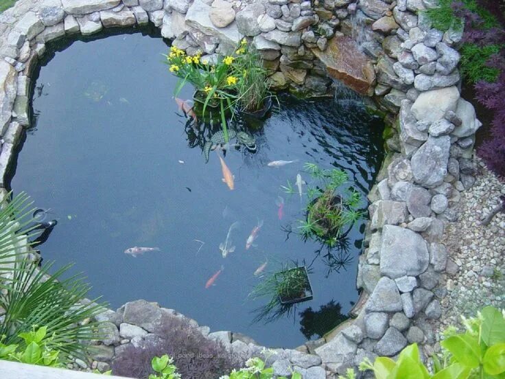 Пруд своими руками на даче для рыбы 20 KOI POND IDEAS TO CREATE A UNIQUE GARDEN - I DO MY SELPH Garden pond design, 