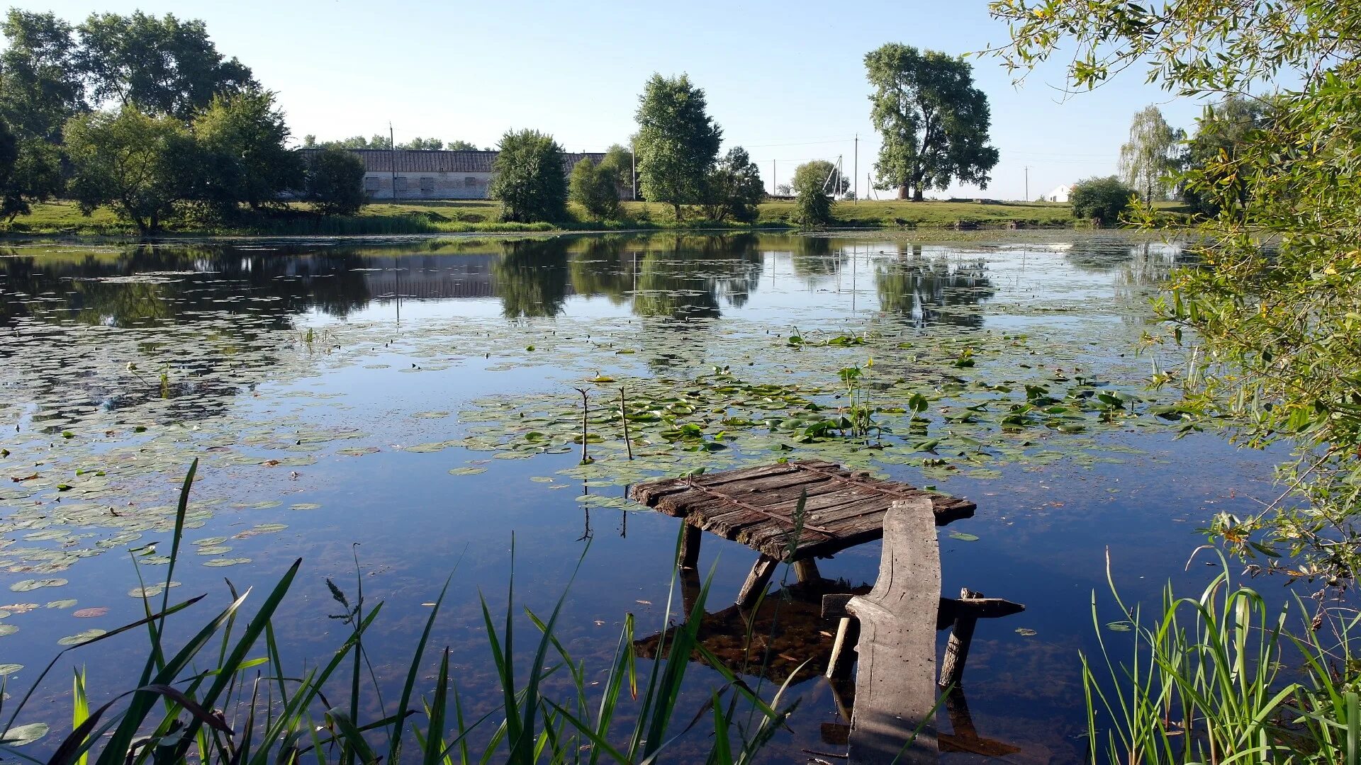 Пруд в деревне фото Немного лета - Фото Дом Солнца