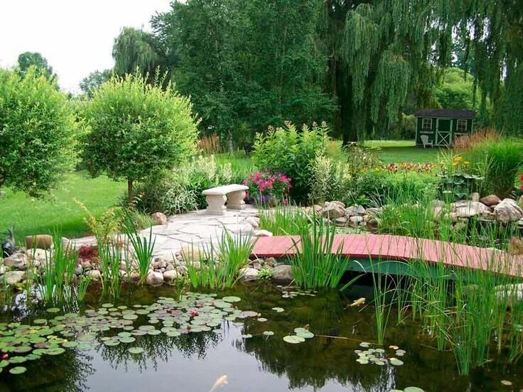 Пруд в ландшафтном дизайне Садовый водоем Outdoor gardens, Ontario, Backyard