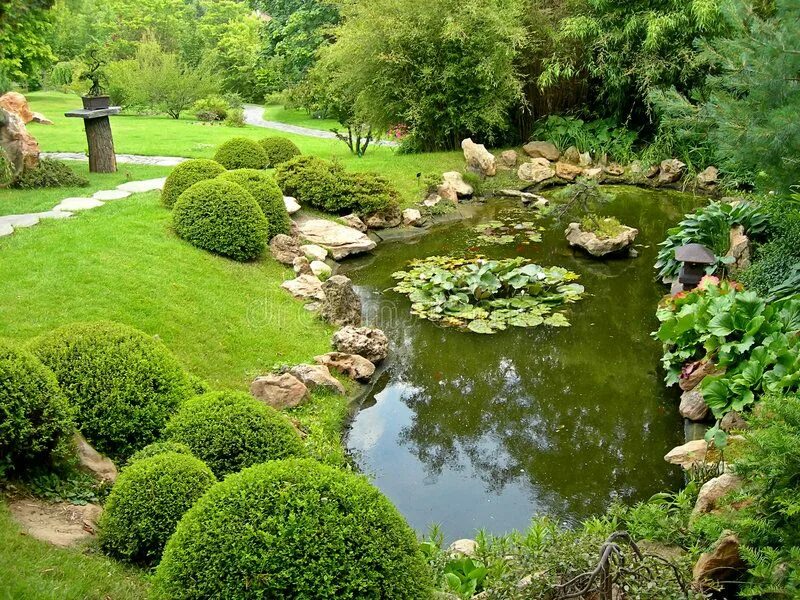 Пруд в ландшафтном дизайне Japanese garden and pond. Beautiful japanese garden with pond and path at autumn