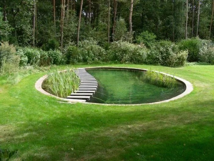 Пруд в ландшафтном дизайне La piscine biologique - une solution éco-friendly pour votre jardin Natural pond