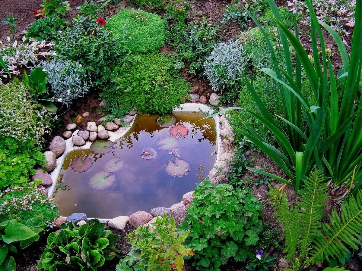 100+ Cool DIY Backyard Pond Design Ideas For Your Garden Bassin de jardin, Aména