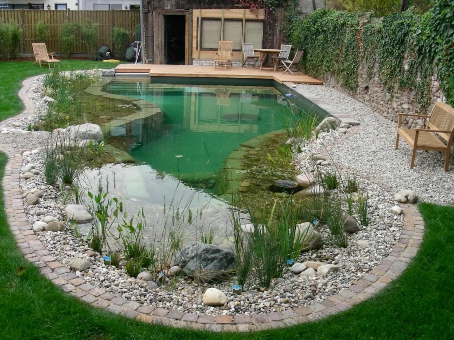 Пруды на дачных участках фото natural-swimming-pools-snakes-pros-and-cons-of-natural-pools-natural-swimming-po