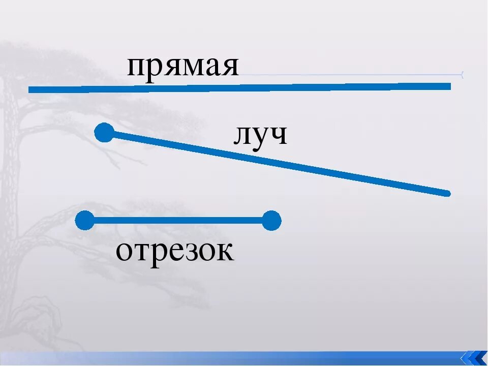 Прямая линия фото математика Нарисуй отрезок луч прямую