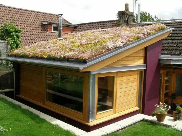 Прямоугольная крыша фото Dachbegrünung Gartenhaus - Exterior in Grün Green roof garden, Green roof system