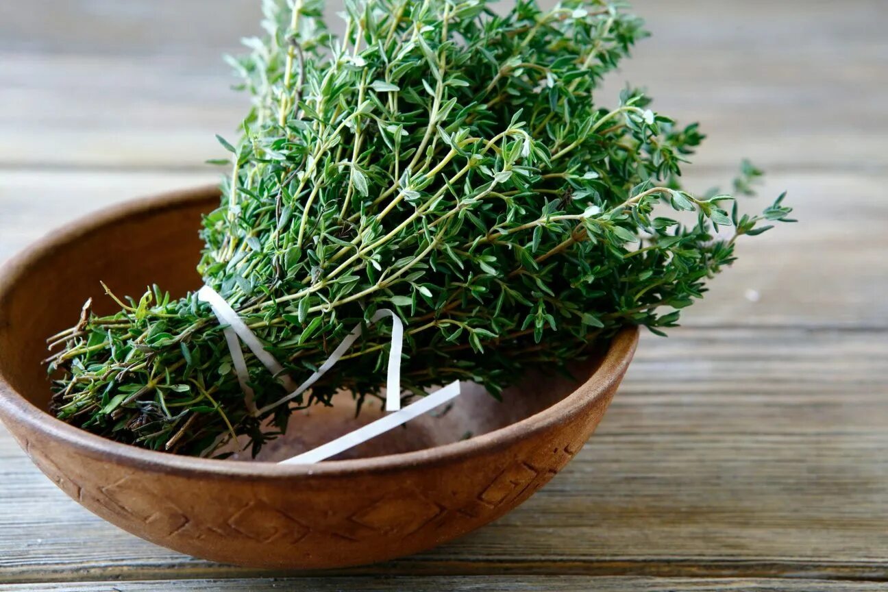 Kräuter trocknen: Anleitung & geeignete Kräuter - Plantura Preserve fresh herbs,