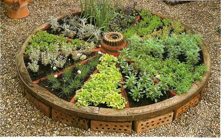 Пряные травы на огороде фото Pin on Beautiful ideas for Home Home vegetable garden, Garden layout, Veg garden