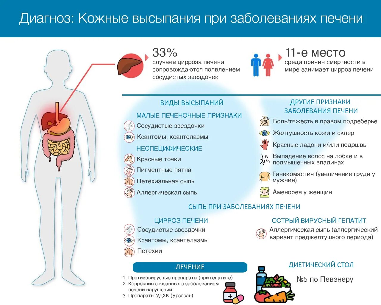 Прыщи при заболевании печени фото Сыпь на коже при болезнях печени: виды высыпаний, причины