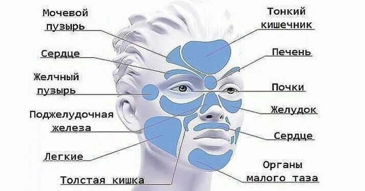 Прыщи схема расположения на лице Как узнать о своих болезнях по лицу? - Женский журнал "Красота и здоровье" Йога 