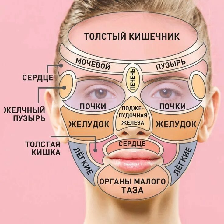 Прыщи схема расположения на лице Детский массаж и взрослый массаж - Уқалау Кызылорда на Olx