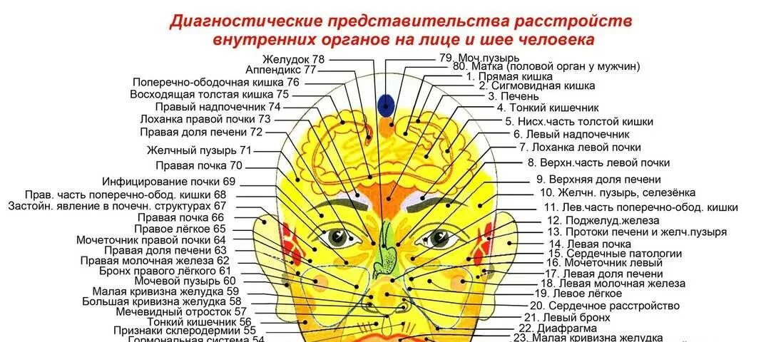 Прыщи схема расположения на лице Карта прыщей на лице у женщин, шее, теле. Что они означают, причины по зонам, ор