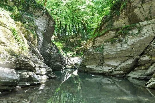 Псахо сочи фото My Active Day на улице Мичурина в Красной Поляне, Сочи - Zoon