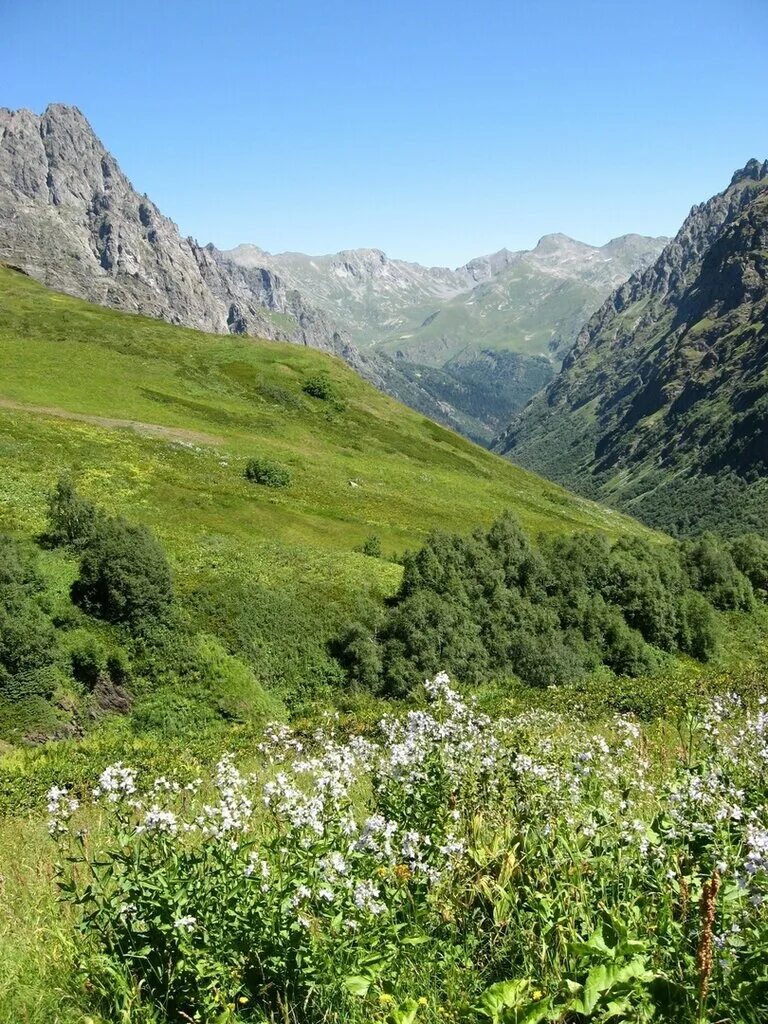 Псебай краснодарский край фото Гостиница Псебай, гостиница, Комсомольская ул., 23, п. г. т. Псебай - Яндекс Кар