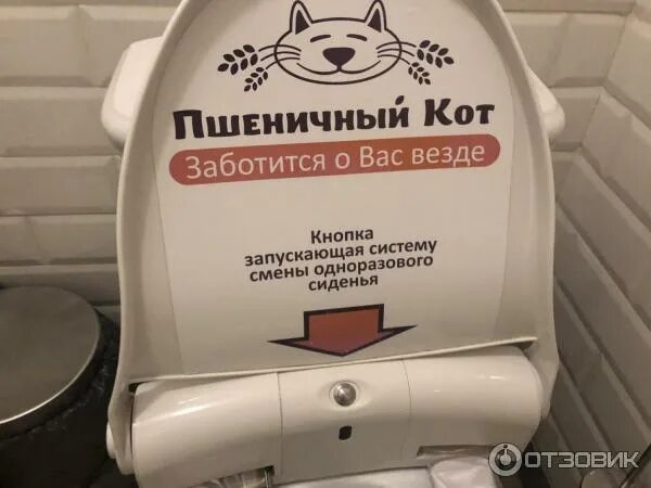 Пшеничный кот большая московская ул 19 фото Отзыв о Кафе "Пшеничный кот" (Россия, Владимир) Больше всего в кафе запомнился..