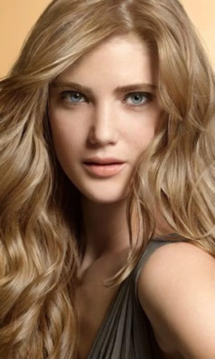 Пшеничный цвет волос фото Image result for golden blonde level 8 hair Rubio, Color rubio, Cabello rubio ce