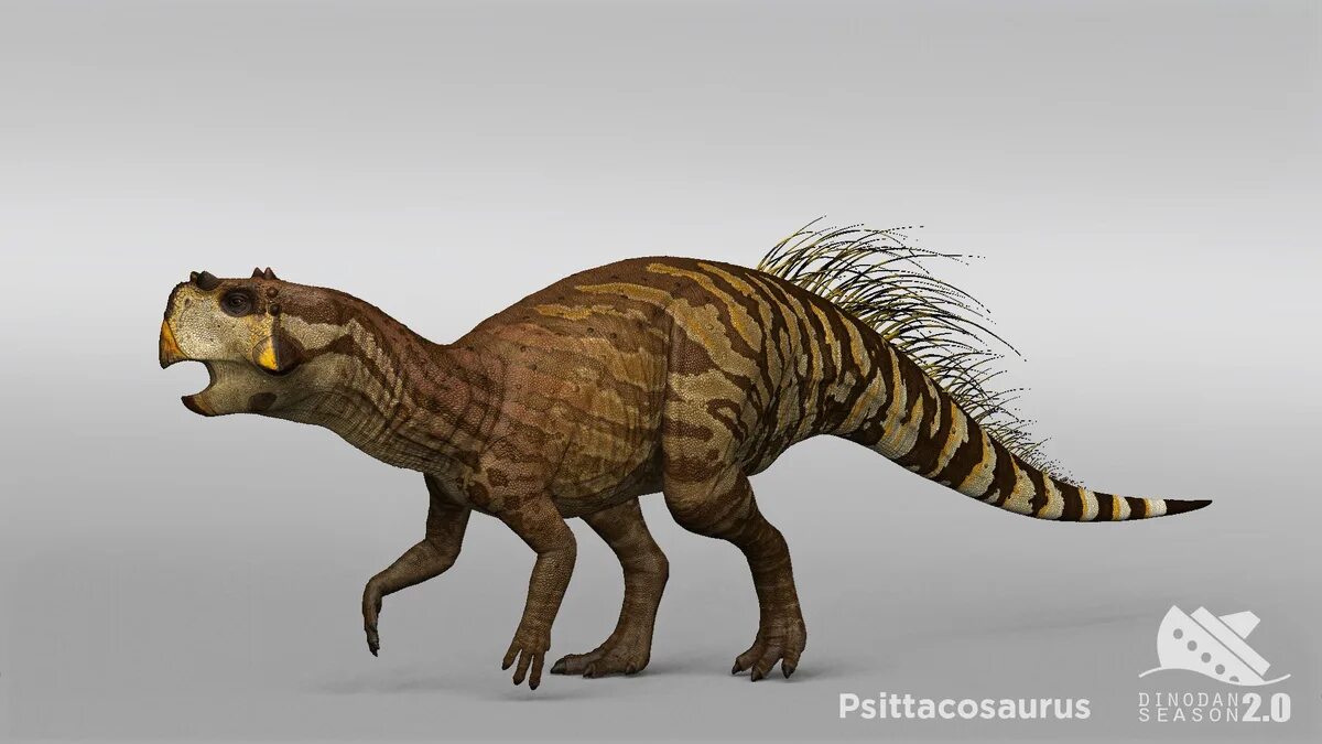 Пситтакозавр сибирский фото Ptsittacosaurus Godzilla and friends Wiki Fandom