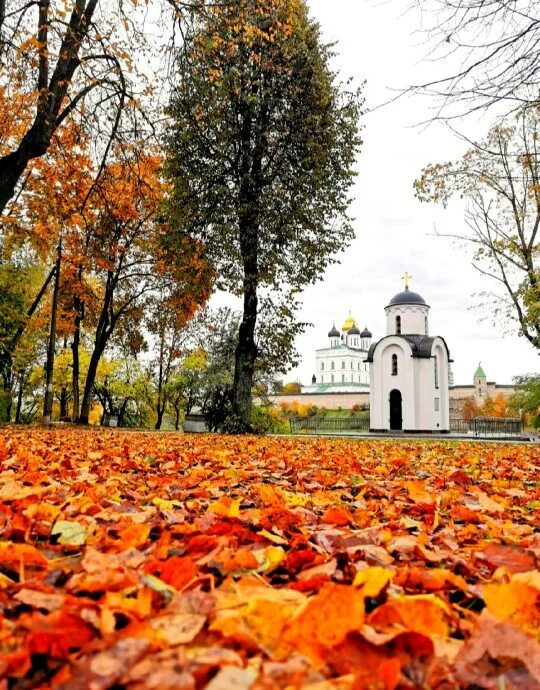 Псков осенью фото Псковская осень (Михайлов Сергей Викторович) / Стихи.ру