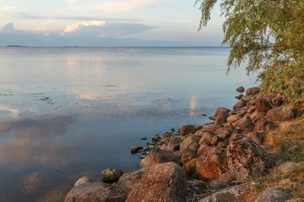 Псковское озеро фото Псковское озеро