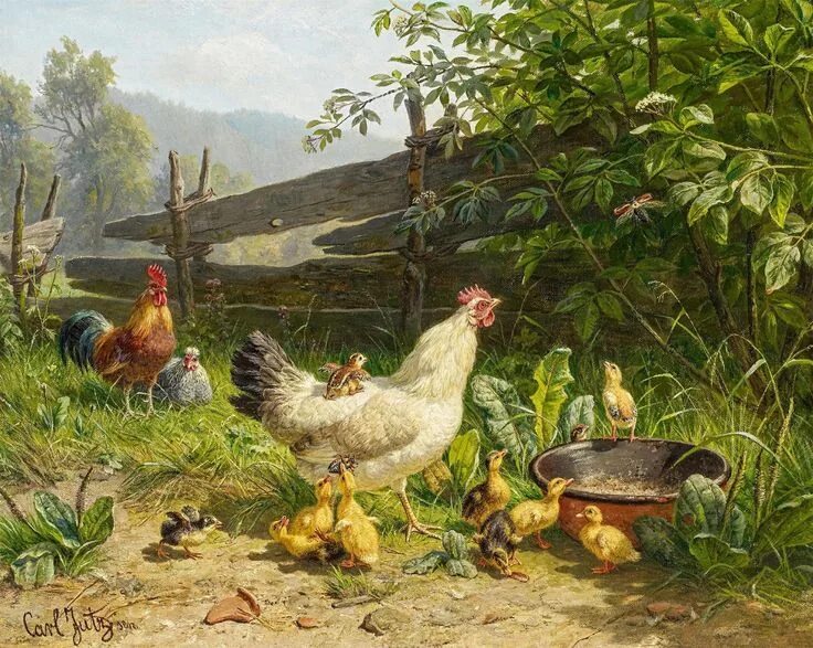 Птичий двор фото Международный университет декупажа Chicken art, Rooster art, Farm art