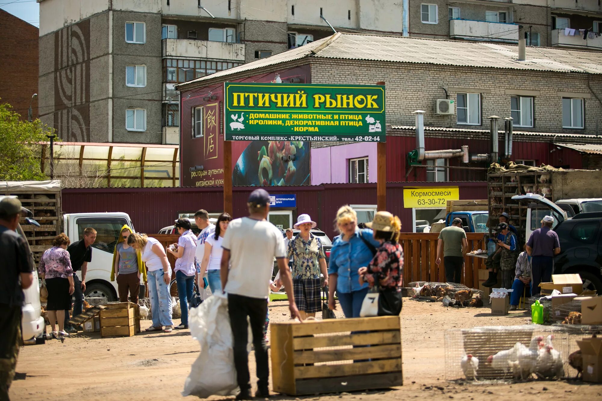 Птичий рынок сорока московская область пушкино фото Работа птичьего рынка