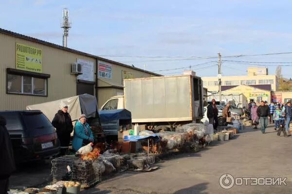 Птичий рынок ул белинского 18 фото Отзыв о Рынок "Птичий" (Волгоград, Россия) всегда можно найти необходимую вещь