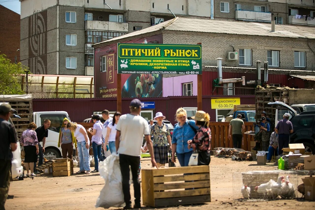 Птичий рынок ул белинского 18 фото NO BIRD MARKETS ! Extras "There is a beastly Babi Yar near the Bird Market. Ther