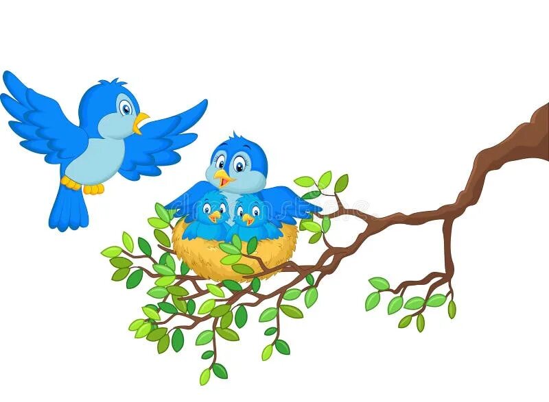 Птички для оформления группы в детском Cartoon Birds with Her Two Babies in the Nest Stock Vector - Illustration of hom