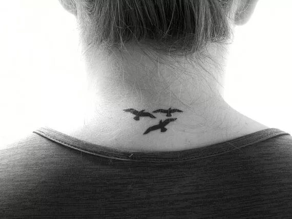 Птички на шее тату фото для девушек seagulls Birds tattoo, Tattoo set, Three birds tattoo