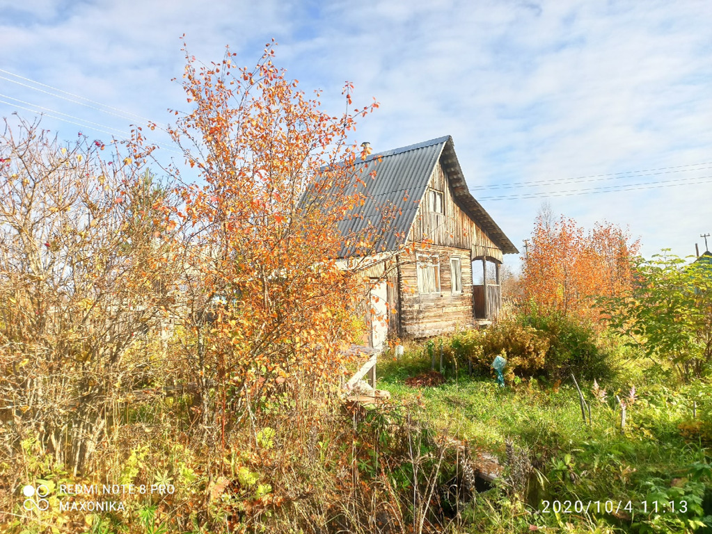 Птичья дача архангельская ул 42а фото Объявление № 71628627 - продажа дачи в Архангельске - N1.RU Архангельск