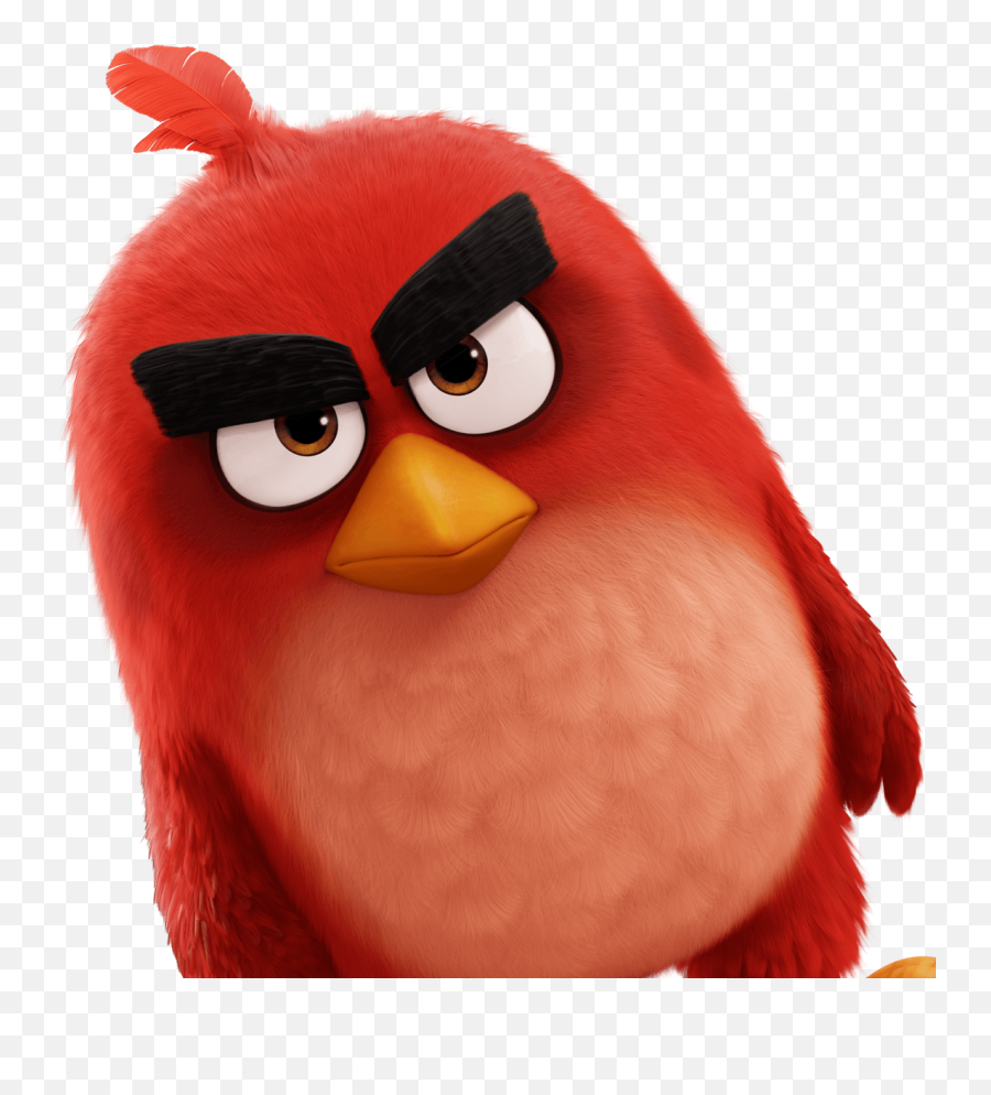 Птица энгри бердз фото Download Red - Angry Bird Red Png Png Image With No The Angry Birds Movie,Angry 