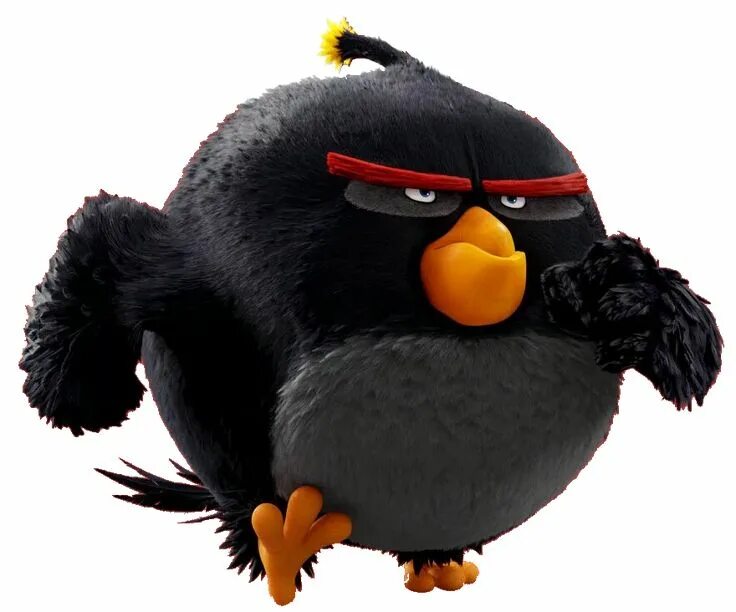 Птица энгри бердз фото Bomb/Gallery Angry birds characters, Angry bird pictures, Angry birds movie